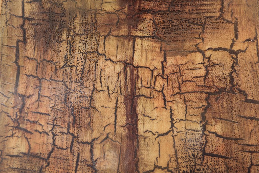 cracked grunge texture paint effect chipped surface tan metal plate texture