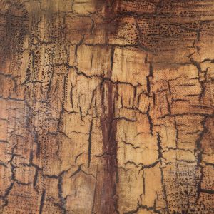 Cracked Grunge Texture paint effect chipped surface tan stain wallpaper
