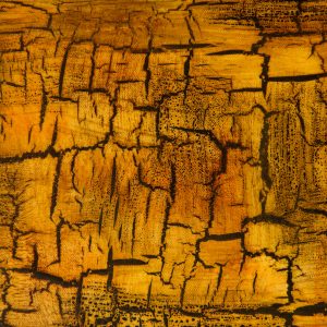 Cracked Grunge Texture yellow gold paint chip wall stained dirty