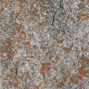 Stone Texture rock face algae granite surface grey orange photo