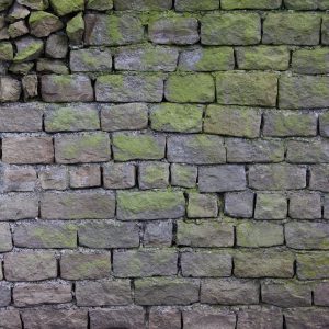 Texturex brick rock stone algea grey green uneven dirty wall cracked Texture