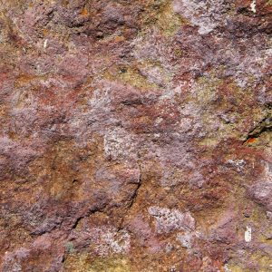 Texturex stone rock boulder stock red green algae rough city Texture