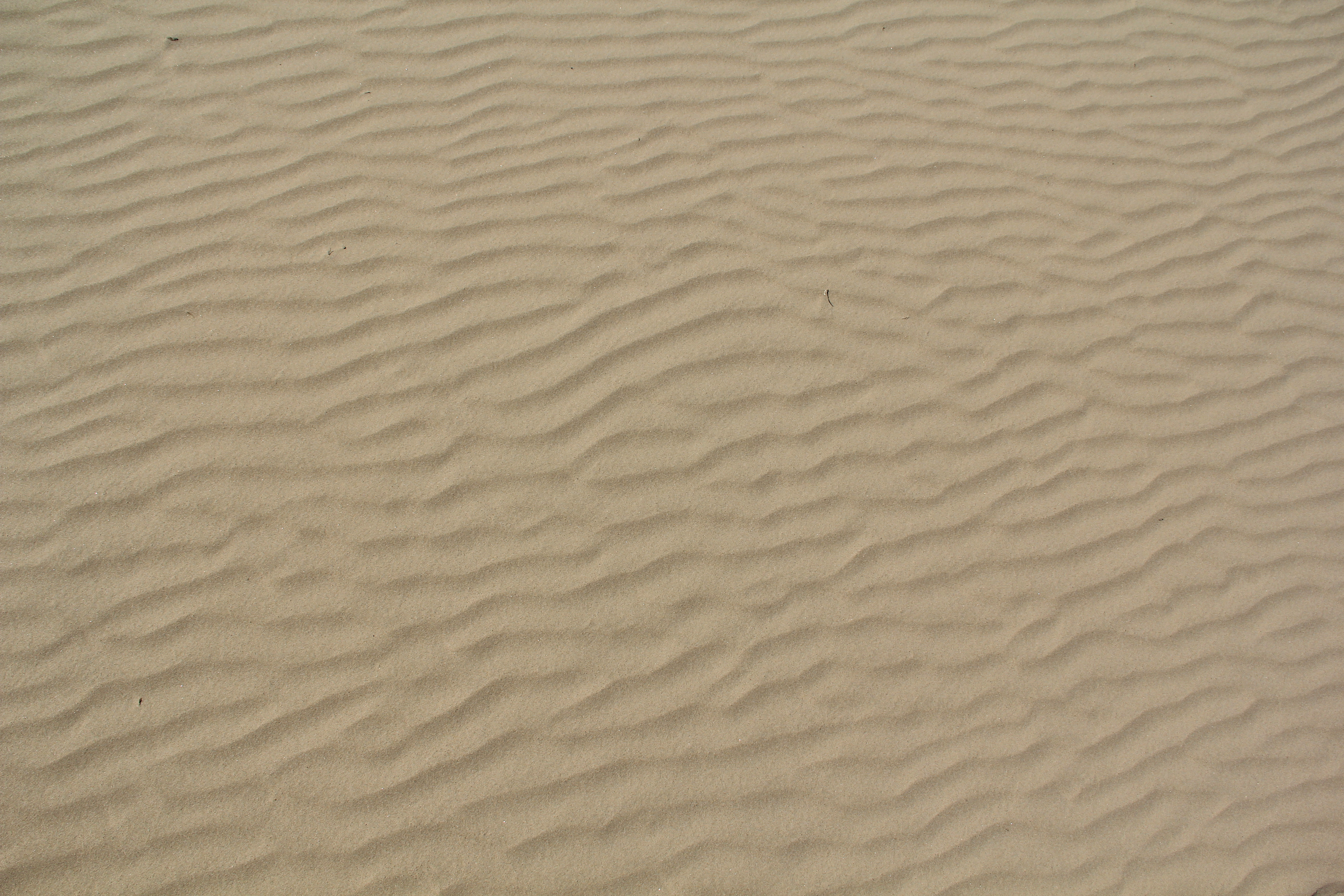 Seamless Sand Dune Texture