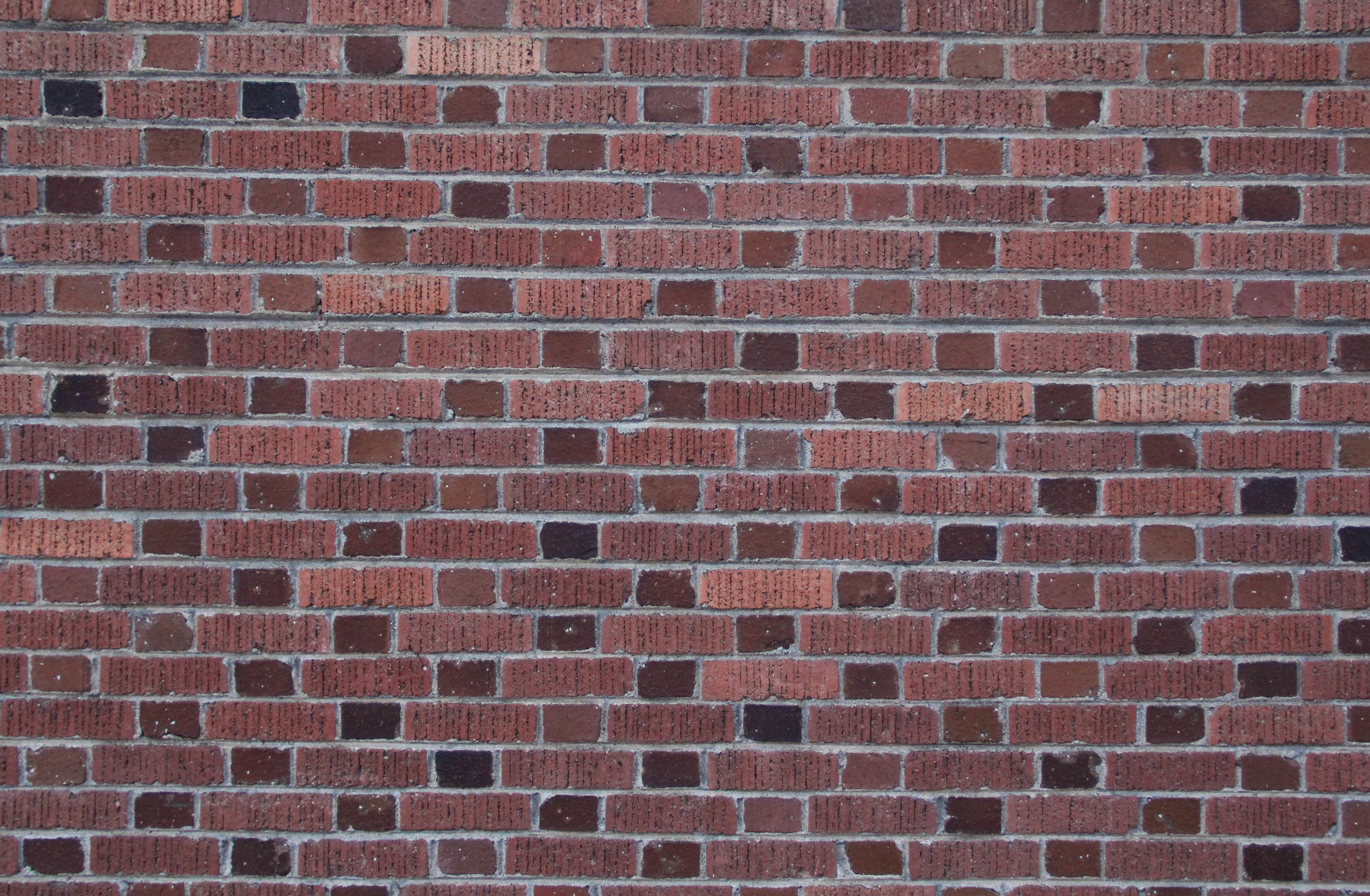 Brick wall poland gay vector photo