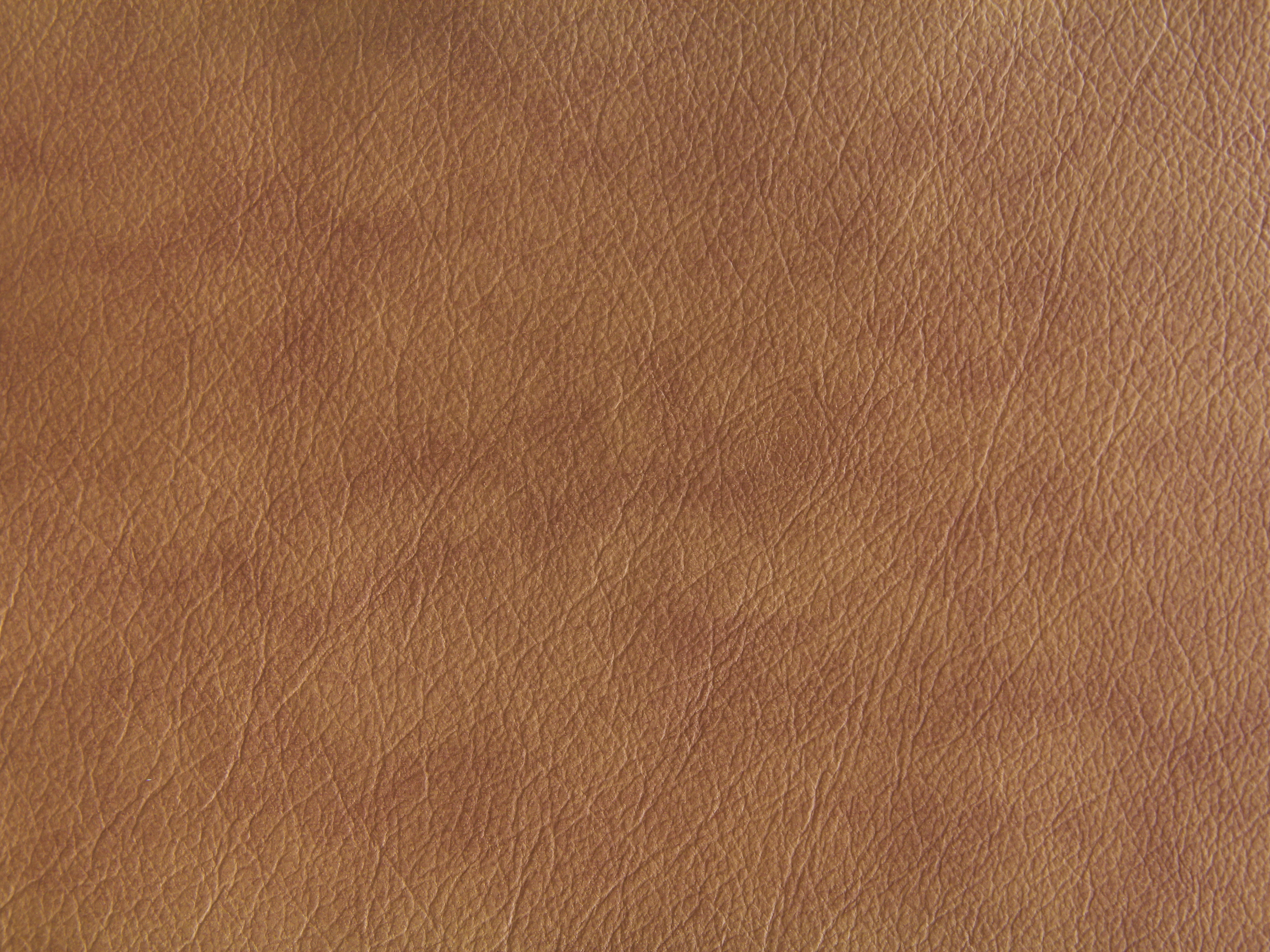 Brown leather texture macro leather textures brown backgrounds leather  backgrounds close color leather HD wallpaper  Pxfuel