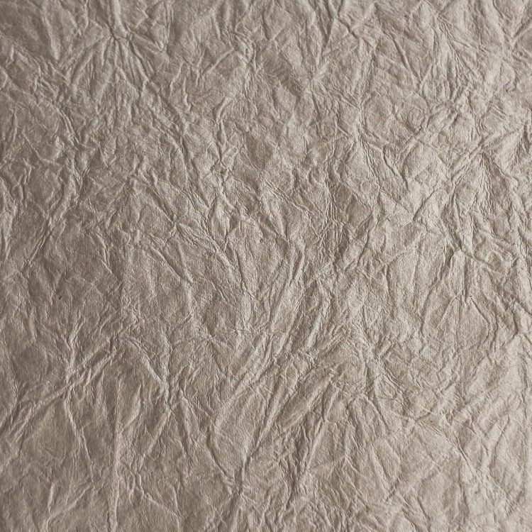 paper texture green scrapbooking card stock Texture X