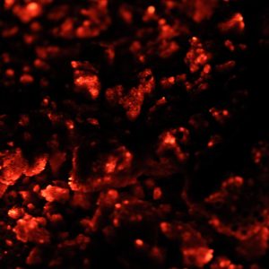 fire texture coals red hot orange glowing dark wallpaper