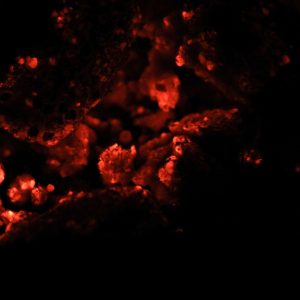 fire texture dark wallpaper minimal black glow red background