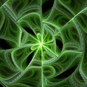 fractal texture green leaf spin detail abstract wallpaper busy life stock