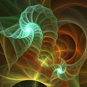 free image wallpaper definition picture design stock art shell spirals texture