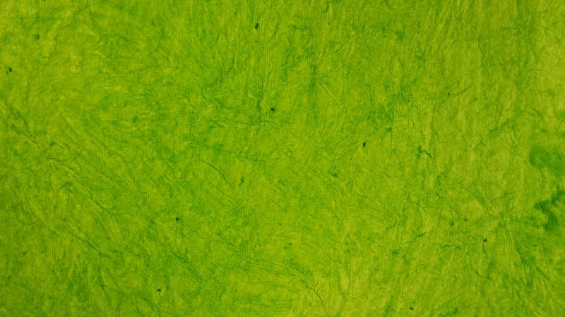 green paper photo light transparent neon glow card stock - Texture X