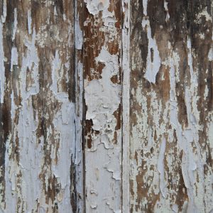 grunge texture cracked chipped paint wood door white rough splinter photo