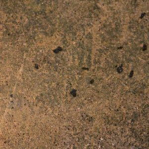 grunge texture dirty wall ugly spotted stone concrete stock photo
