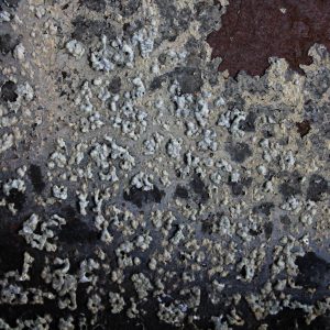 grunge texture filthy metal fire scorched door paint bubbling spotted speckled rust