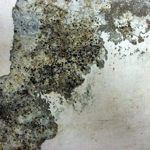 Grunge Texture granite chipped paint wall rough dirt surface photo wallpaper