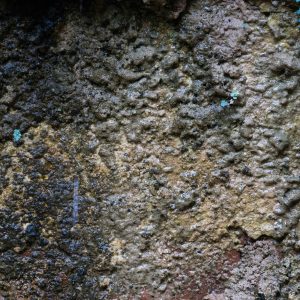grunge texture natural buildup stone granite leaf grime filthy wall photo