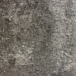 Grunge Texture organic detail surface wall growth dirty grungy wallpaper