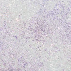 light grunge texture purple white backdrop surface abstract wallpaper