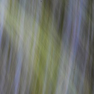 light texture blur fuzzy faint abstract white green photo