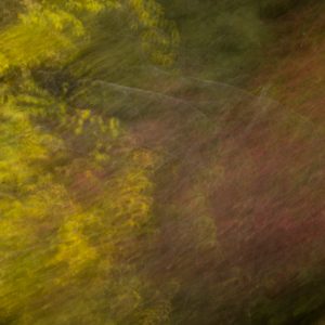 light texture blur painting photo yellow fuzzy trees desktop