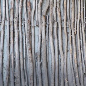 stick wood texture rough natural wall timber photo design