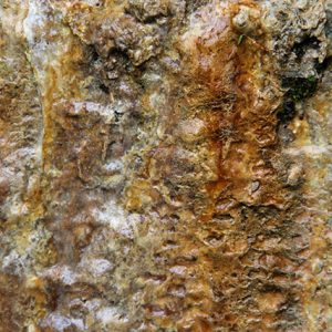 Texturex Lime calcium deposit gross grunge ugly nasty Texture
