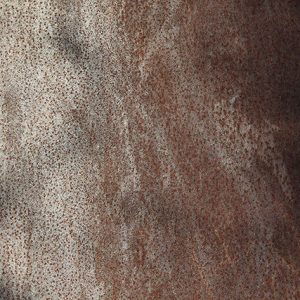 Texturex metal rust grunge iron steel rough rusty dirty city Texture