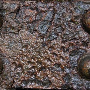 Texturex Rust distorted slimey wet metal plate Texture
