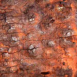 Texturex rust texture heavy rusted rion steel grunge dirty Texture