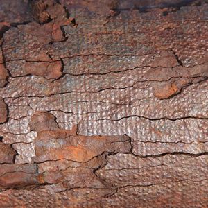Texturex rusty metal texture thick deposit oxidize steel iron Texture