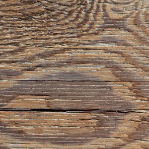 Wood Texture Maple Wood plank stock photo Floor photo