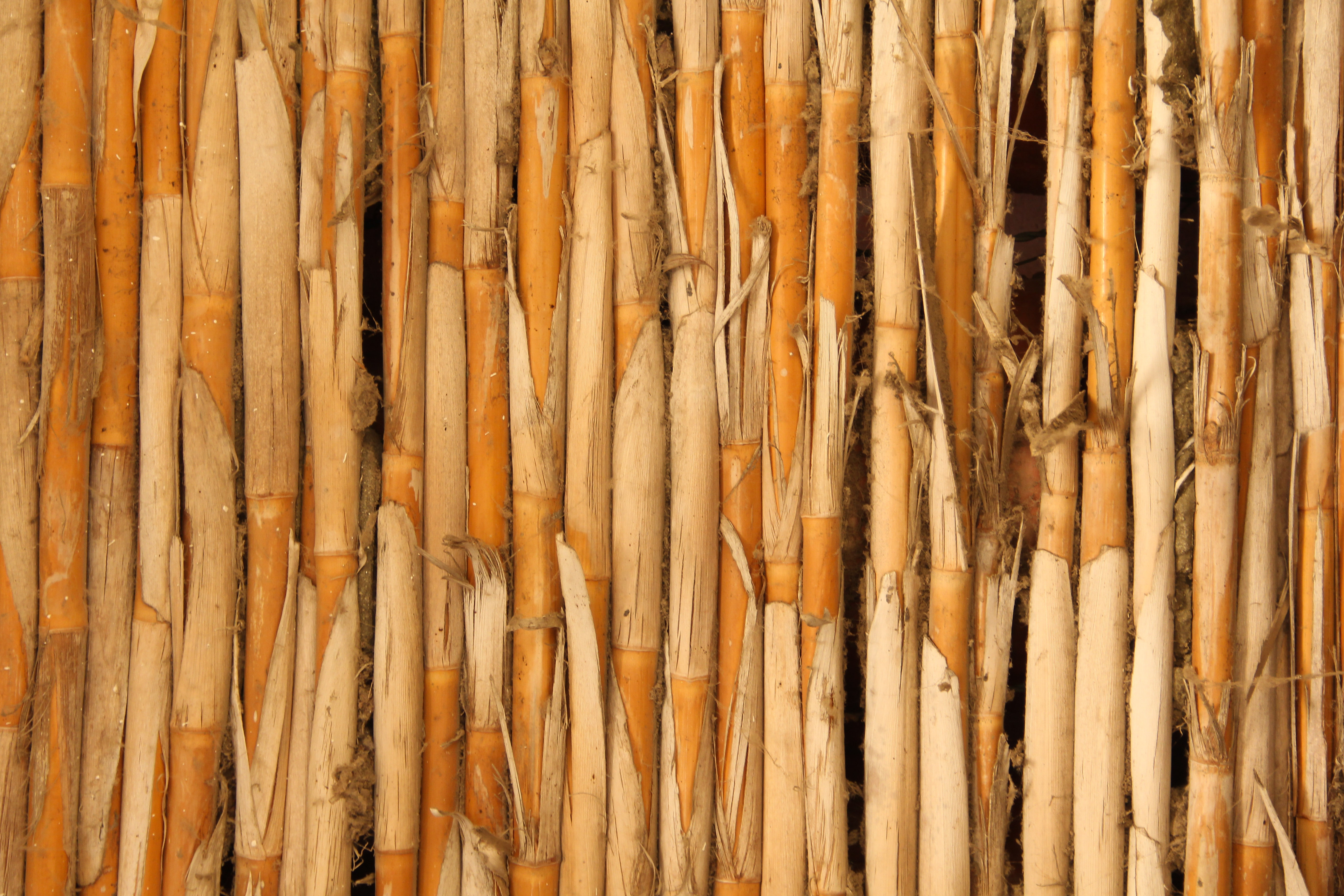 wood texture stick fence bamboo grass natural stock photo ...