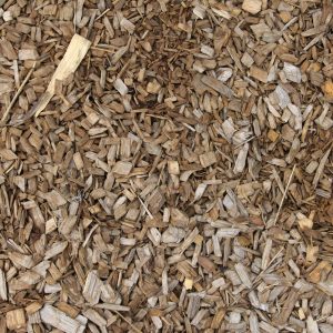 Ground outside dirt with broken branches
