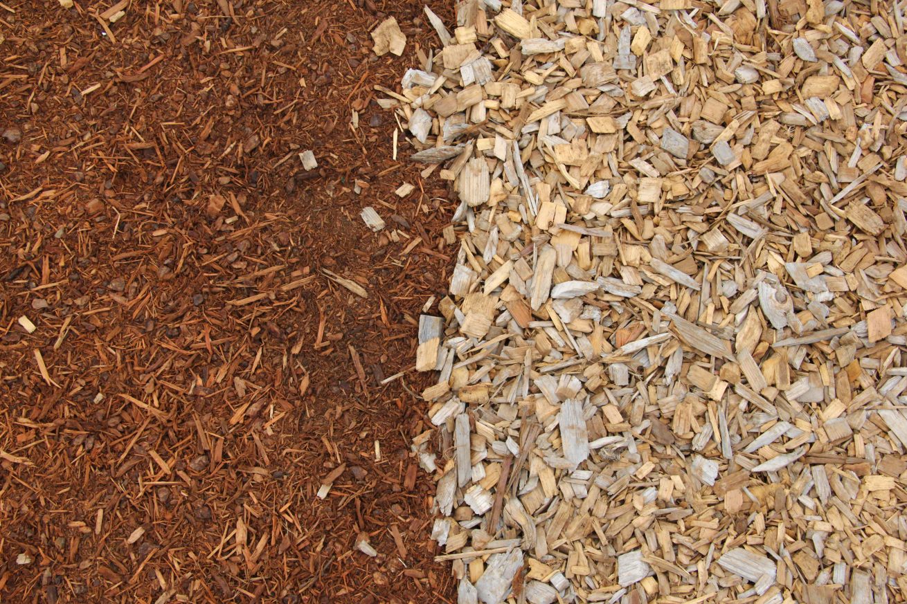 Ground outside wood chips with red chips Texture X