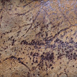 Grunge leather old close up