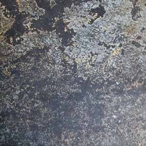 Grunge mix color floor white gray gradients