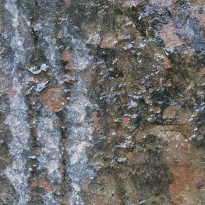 Grunge Wall Middle East Formation