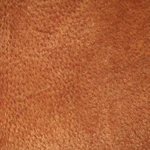 Leather Photo Brown Couch Smooth