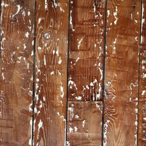 Wood Texture Natural Wood With White Spots Throughout