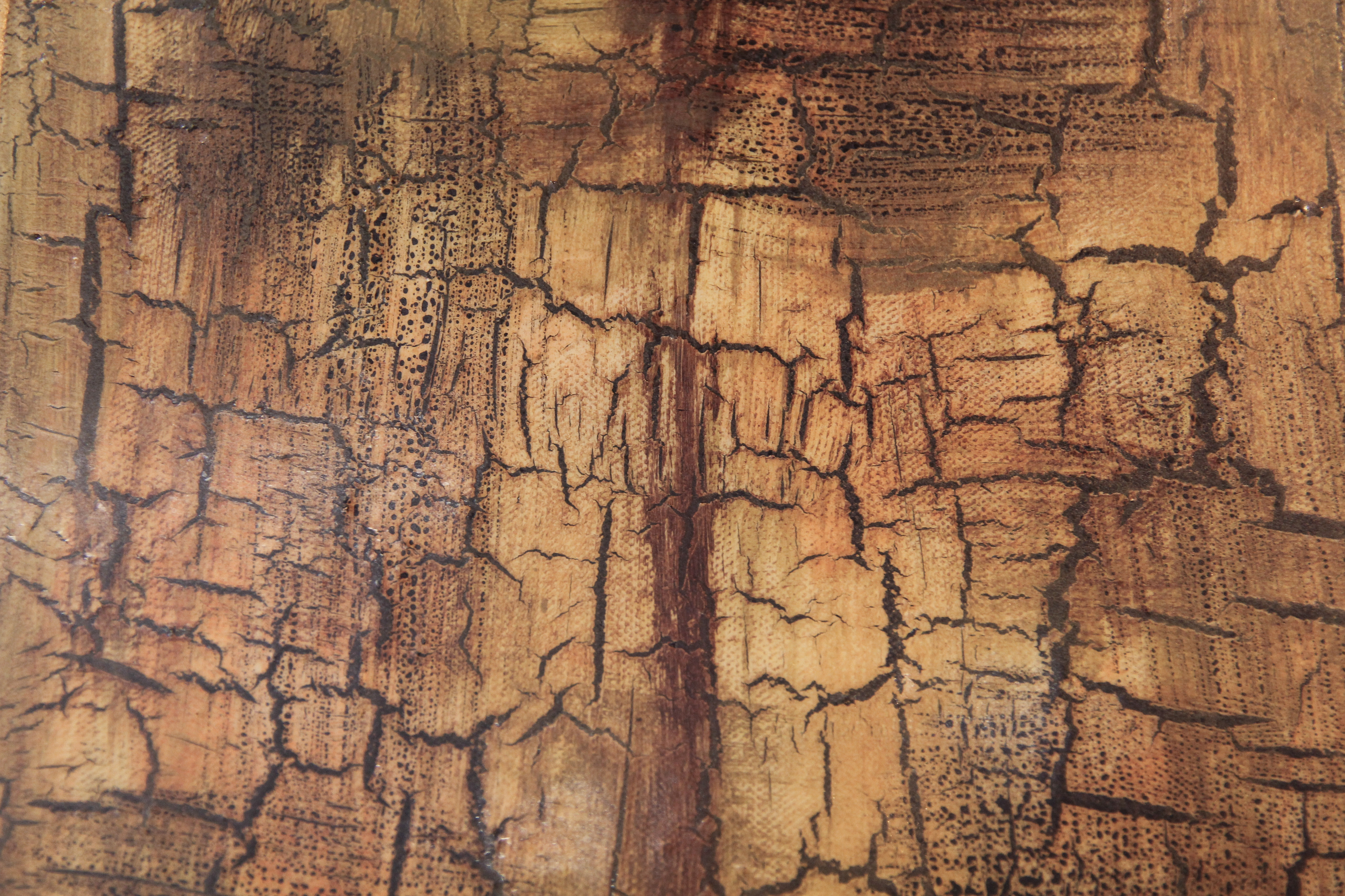 Cracked Grunge Texture Paint Effect Chipped Surface Tan Stain Wallpaper