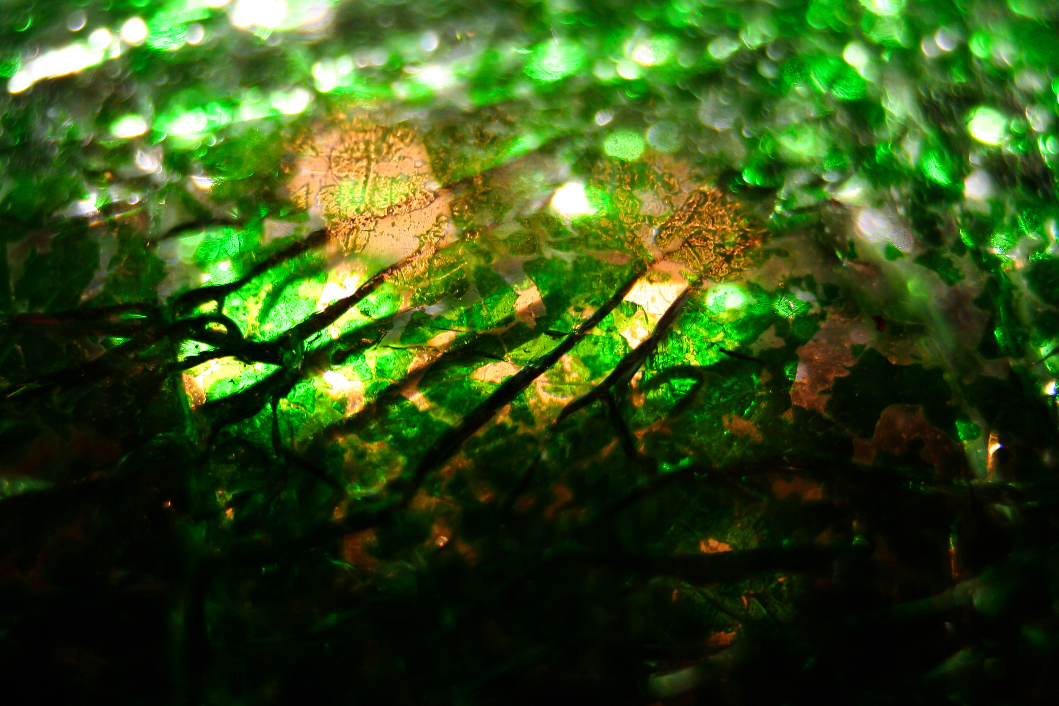Green Cracked Glass Texture Stock Background Wallpaper Broken Image Shattered