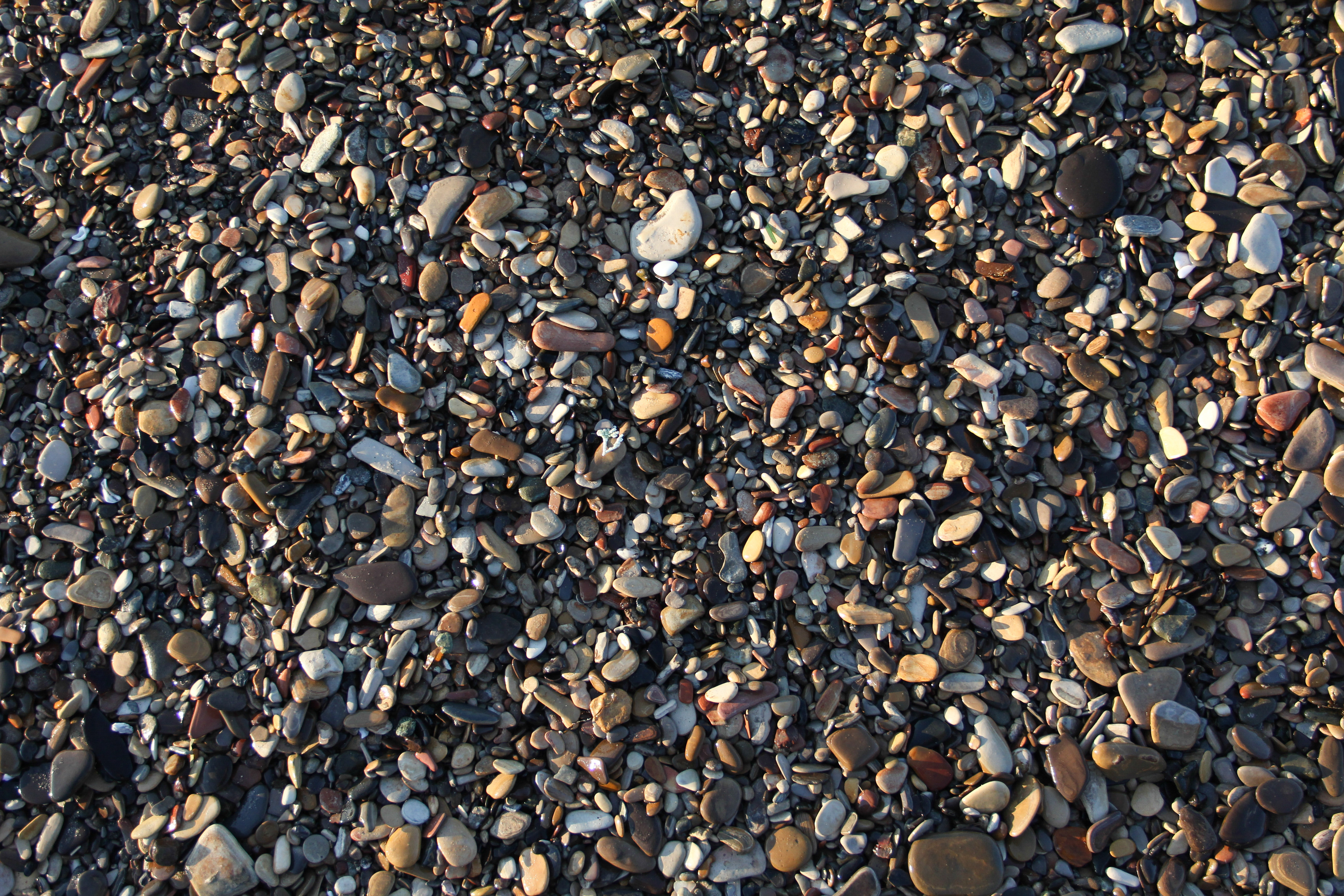 Ground Texture Beach Wet Rocks Colorful Smooth Stones Wallpaper