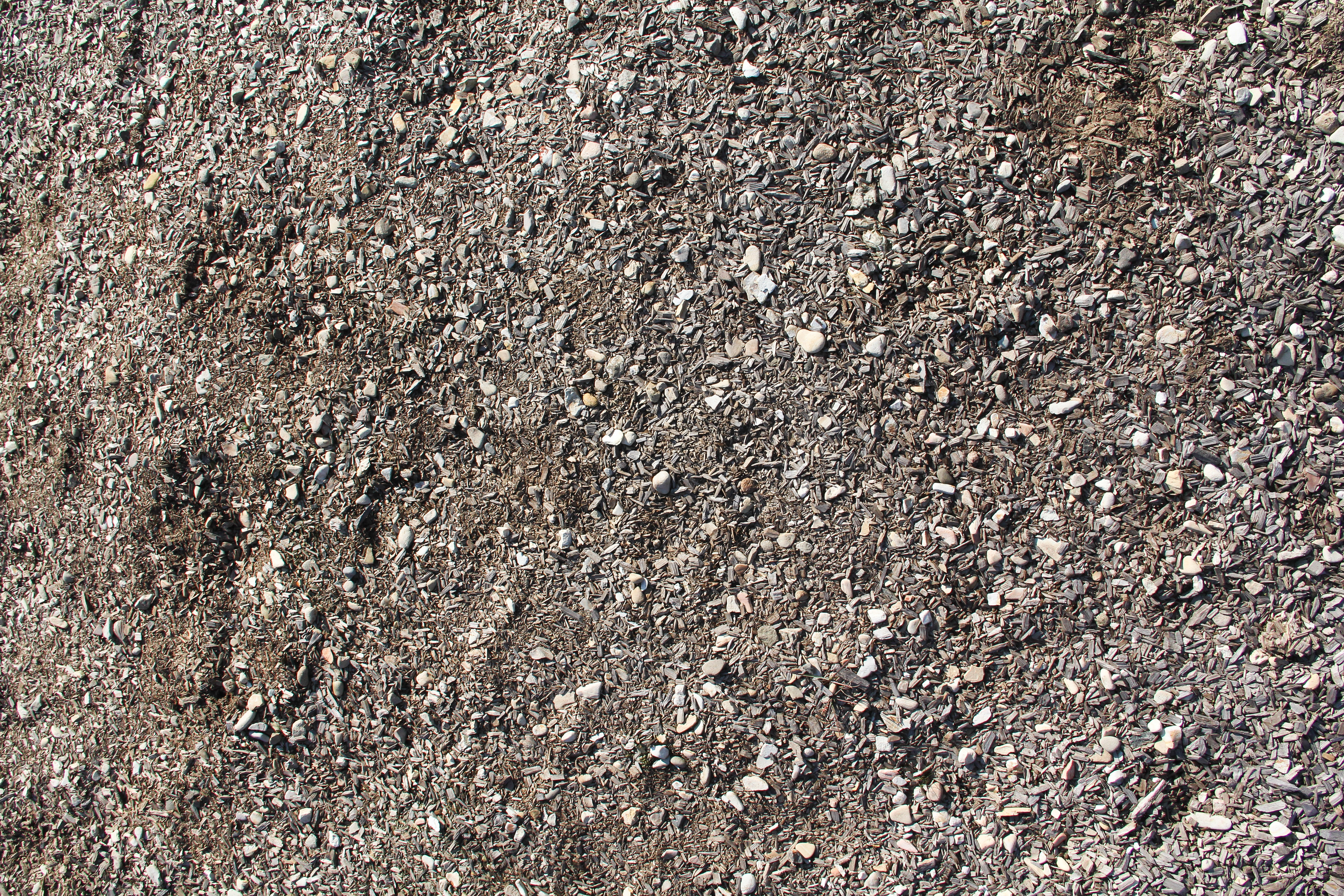 Ground Texture Chipped Wood Bark Rock Path Graphic Design