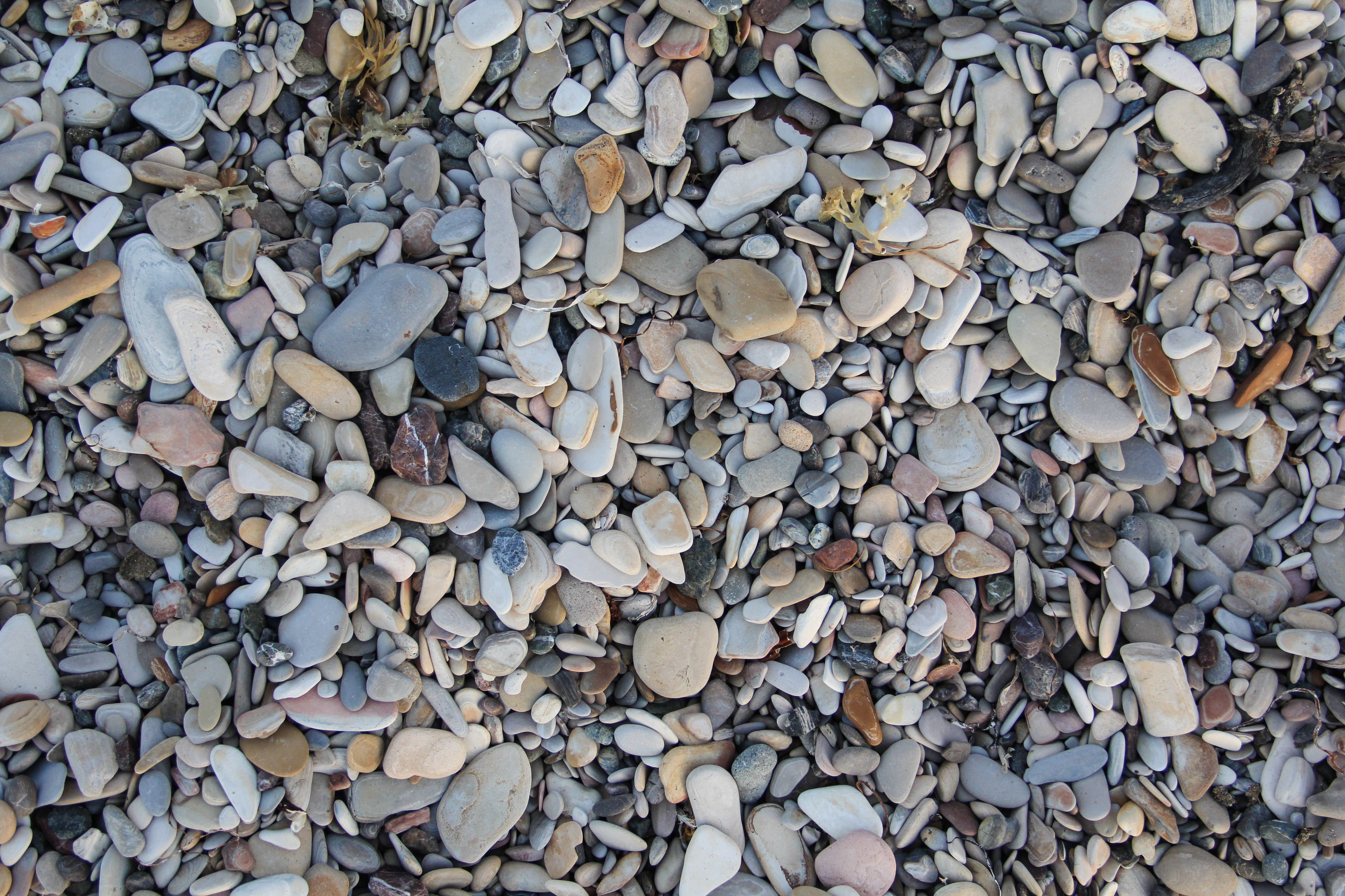 Ground Texture Rocks Close Up Beach Surface Level Design