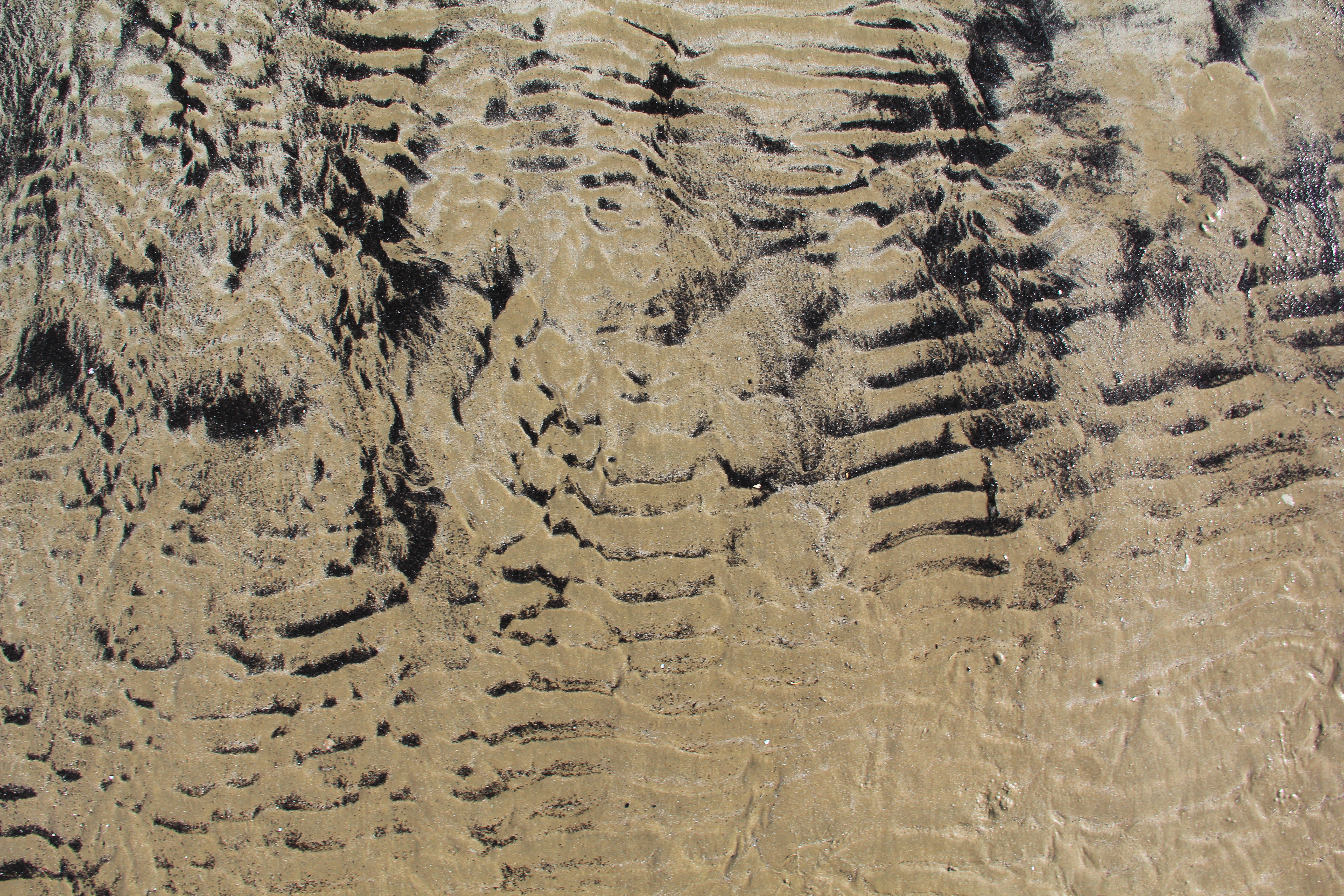 Sand Texture Rippled Black Beige Wallpaper Photo Beach Design