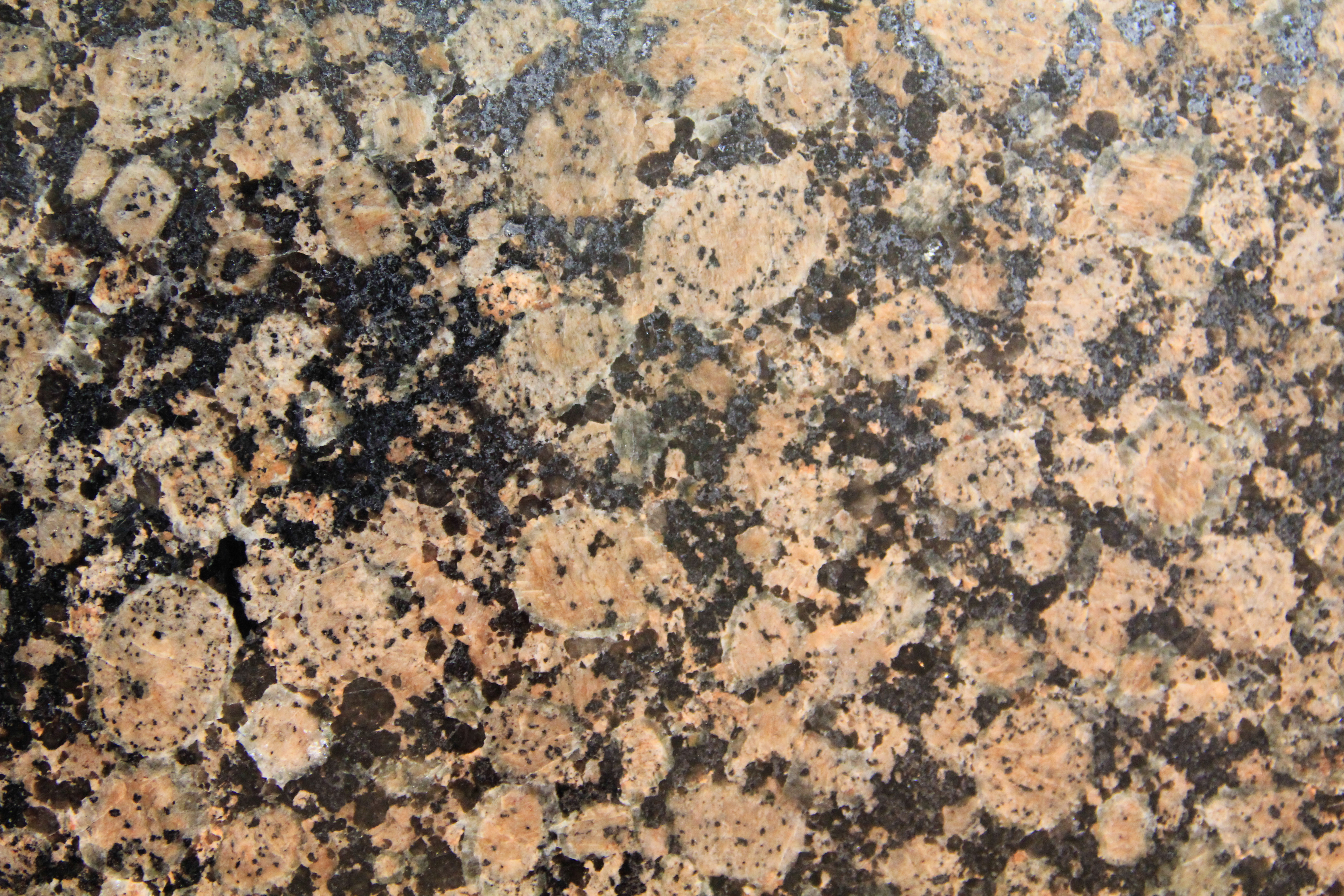 Stone Texture Granite Counter Top Spotted Rock Polished