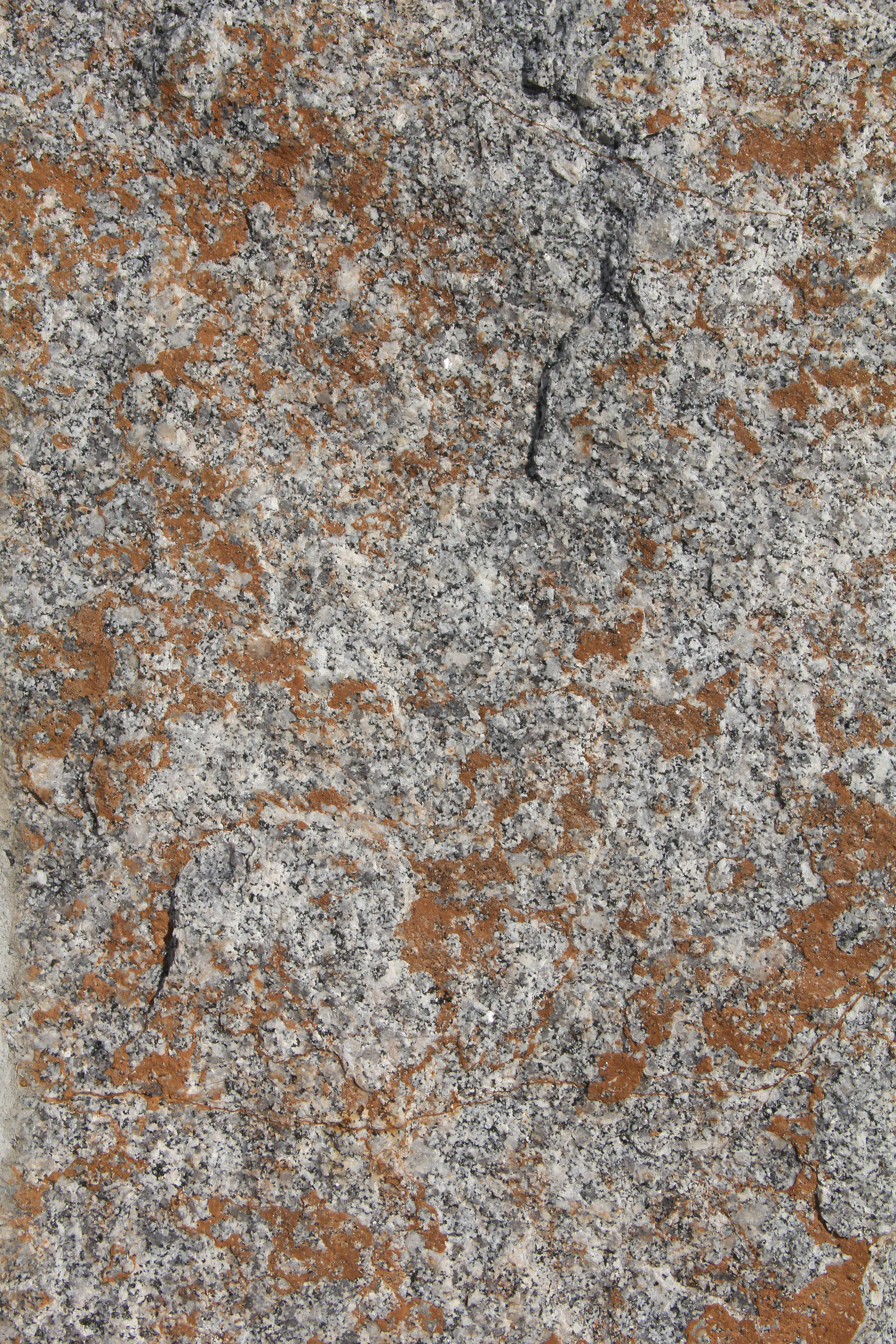 Stone Texture Rock Face Algae Granite Surface Grey Orange Photo