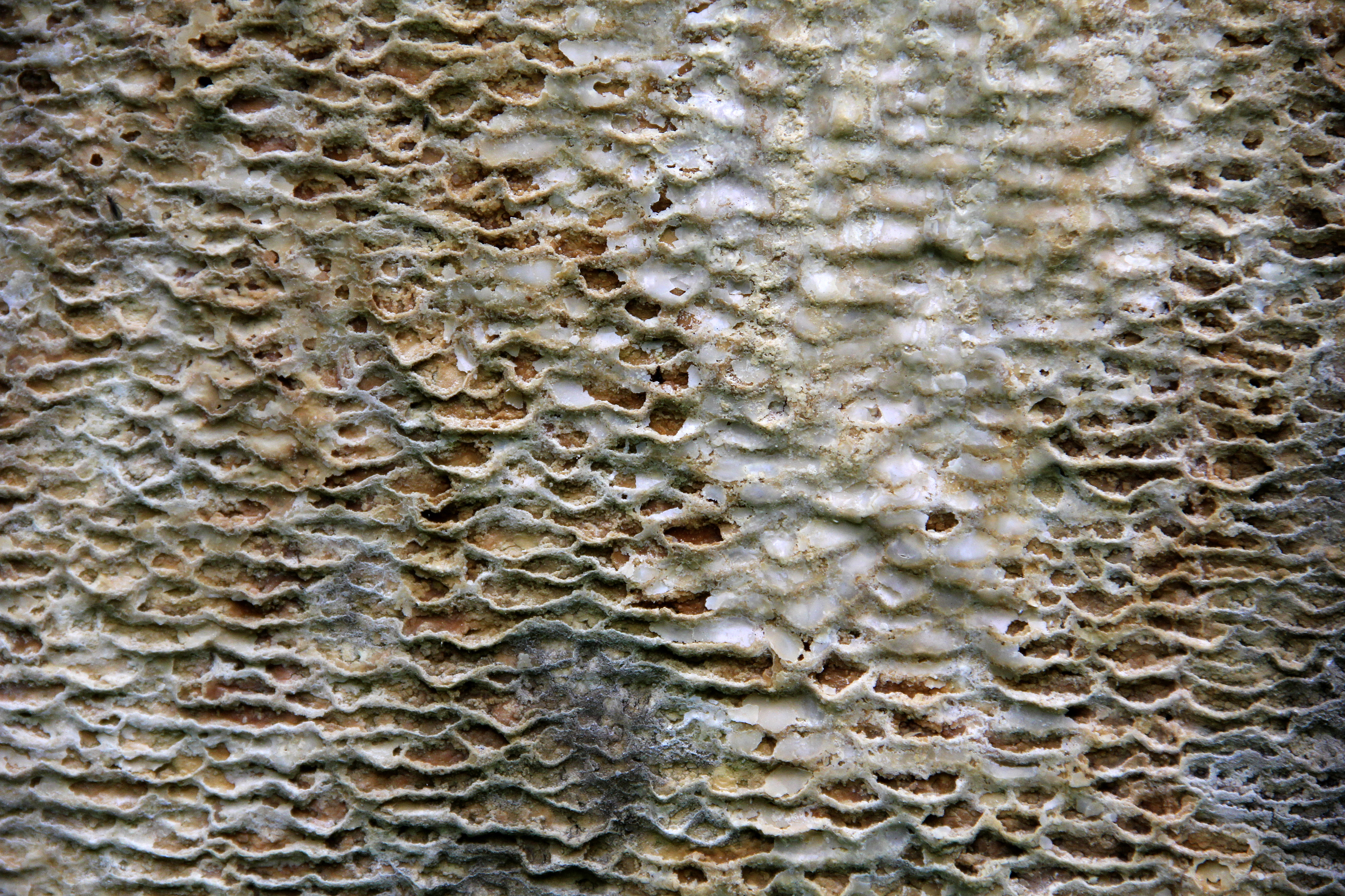 Texturex Concrete Lime Deposit Alien Landscape Texture