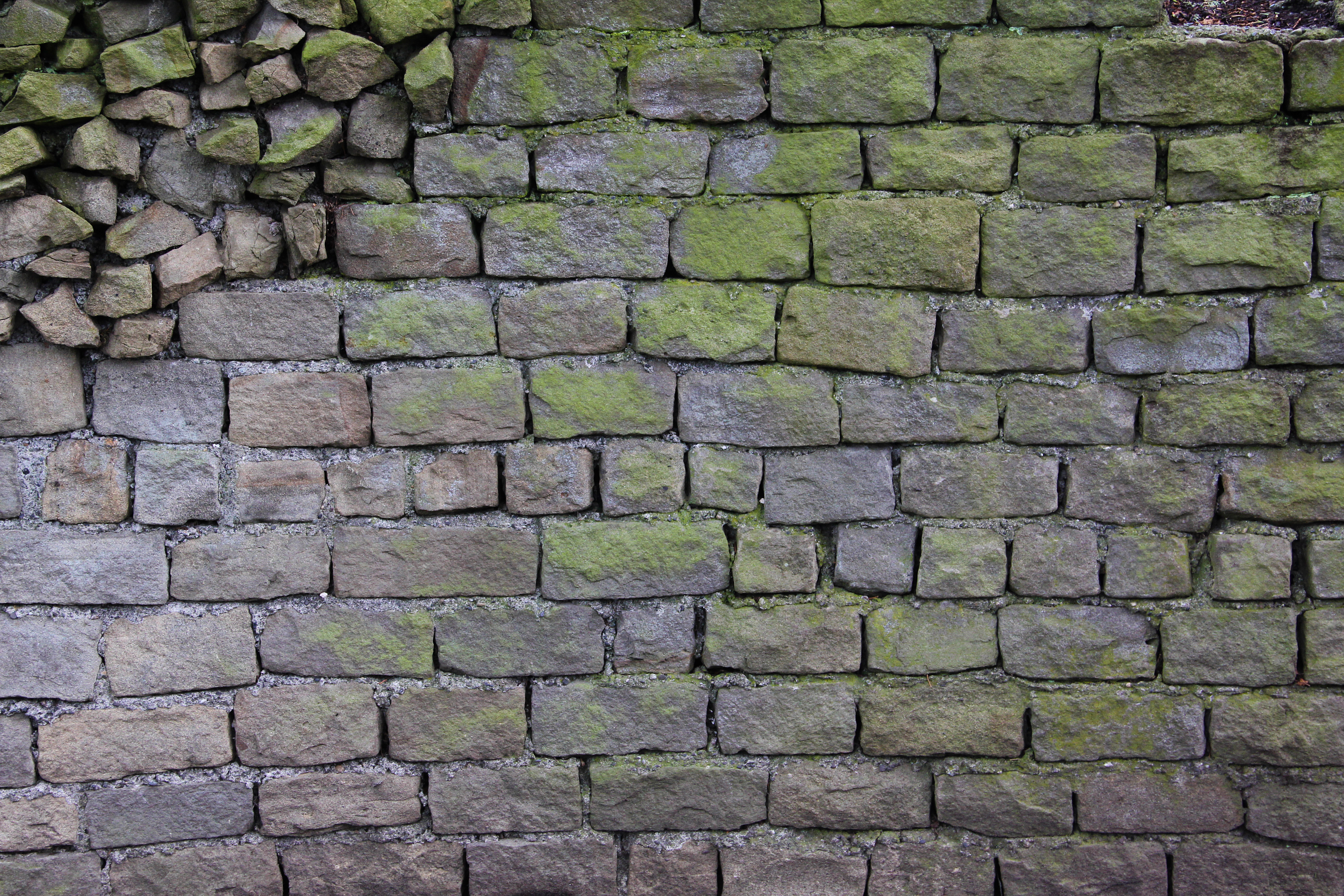 Texturex Brick Rock Stone Algea Grey Green Uneven Dirty Wall Cracked Texture