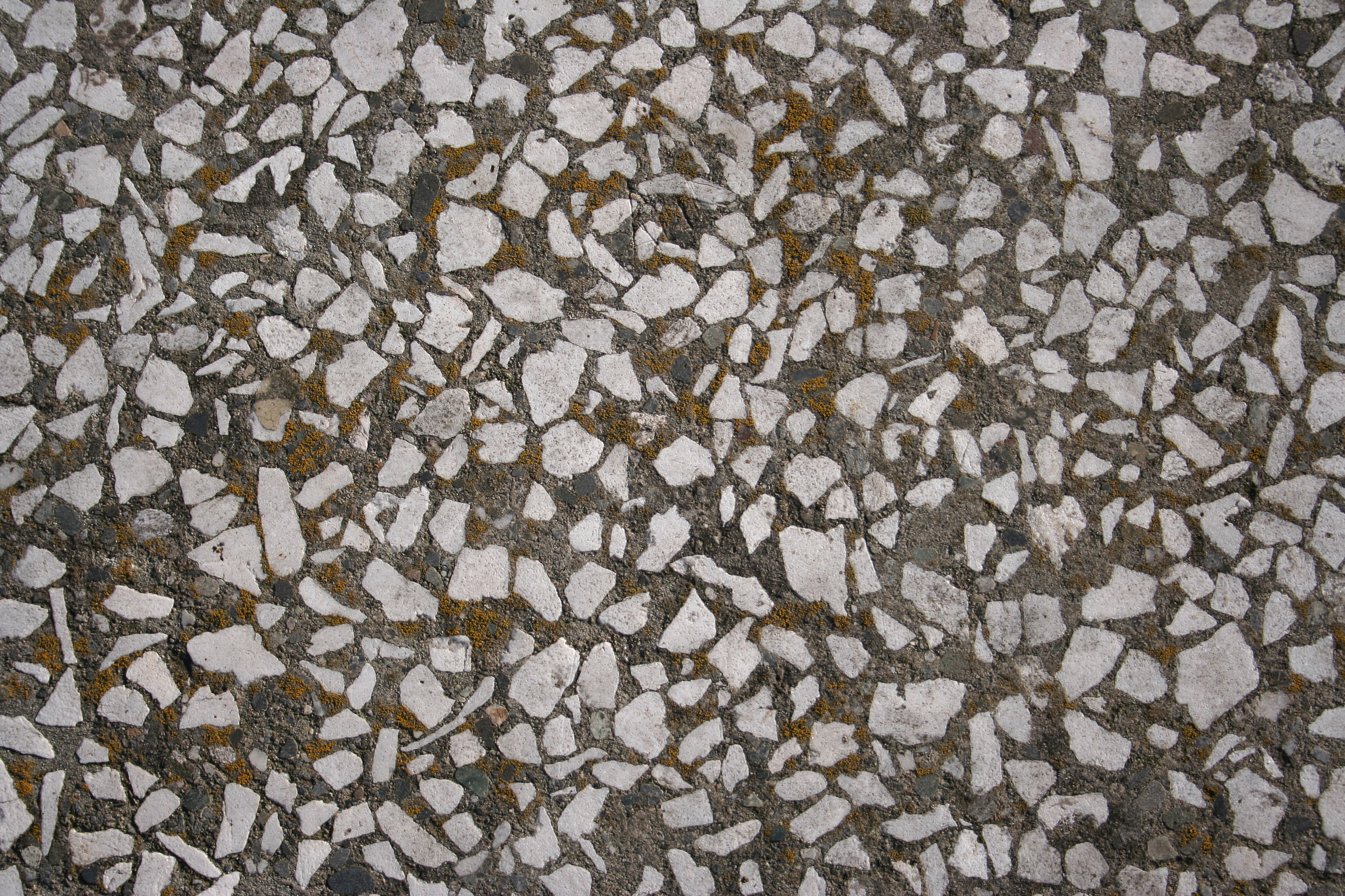 Texturex Chipped Rock Gravel Ground Moss Texture Texture